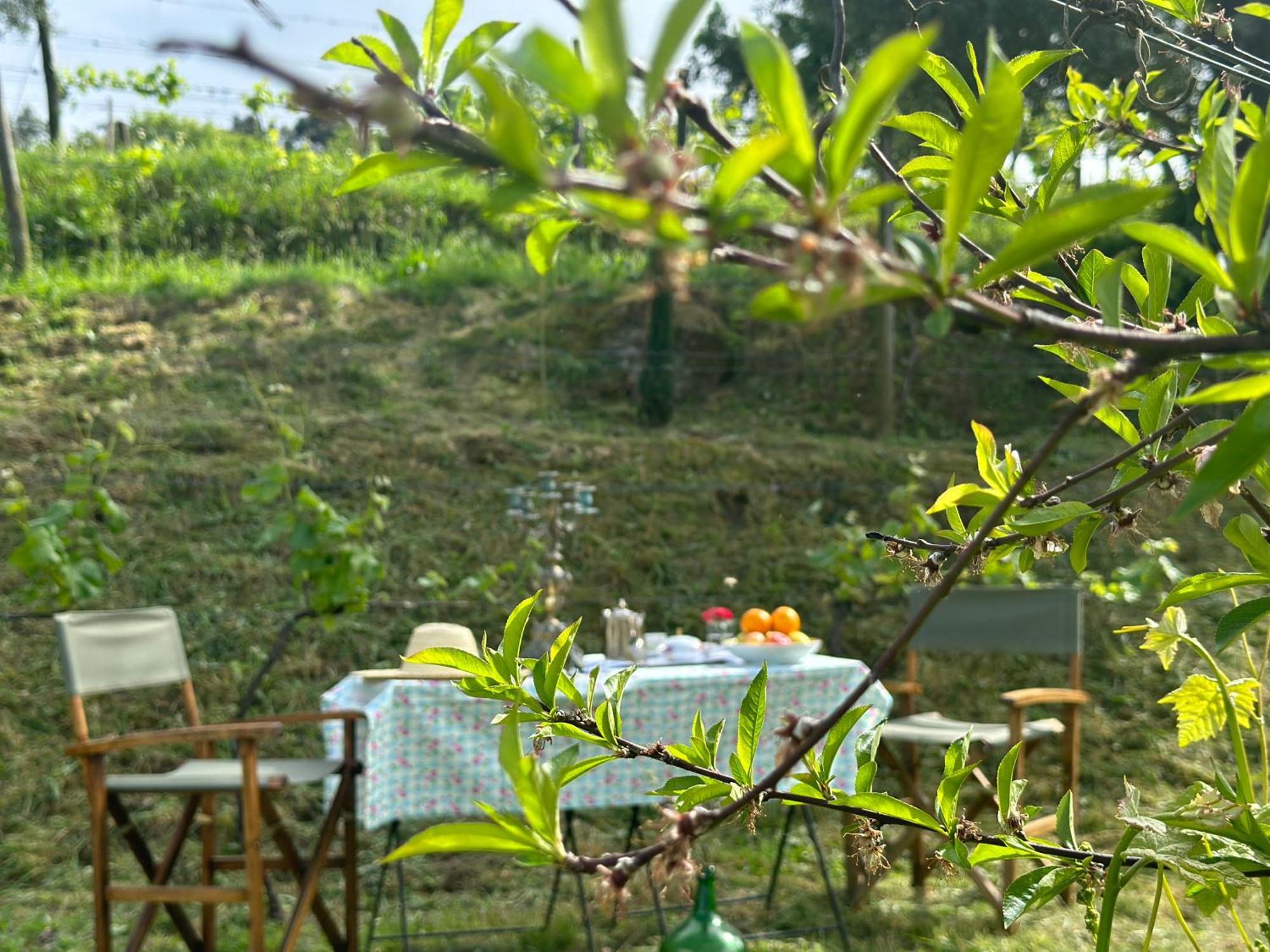 Carmo'S Boutique Hotel - Small Luxury Hotels Of The World Ponte de Lima Esterno foto